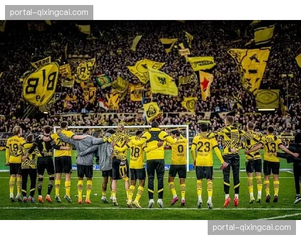 多特蒙德南看台需安装连续金属防冲撞护栏，单场改造费用达五位数